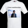 wednesday fan