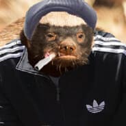 GUMKA
