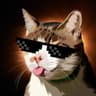 meow_matt