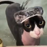 suharik