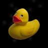 I like ducks
