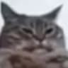 Quw1ky