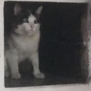 goxshadow