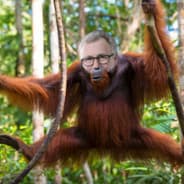 Orang Uthwee