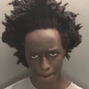 TheFattNutt