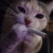 tthwre yotiuiju