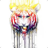 Majesti | Bear in the Night