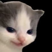 asdf