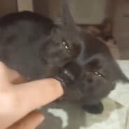 jebo_z_lesaッ