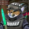 Ace Quali