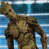 Groot TRADE KEY