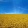 RedFox[#RussiaIsATerroristState]