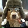 nigeloff