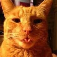 Helixocat