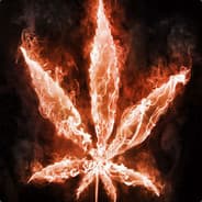 Highfeel