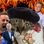 Žloutenka