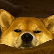 UgaBugaDon