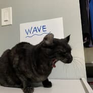 wave