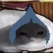 dfefrfsfdsefr59