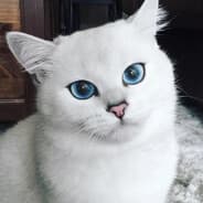 ct0m