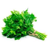 Ginkgo Biloba