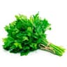 Ginkgo Biloba