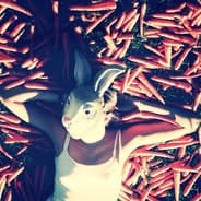 Falscher Hase | Trading