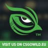 SztuBaa csgo