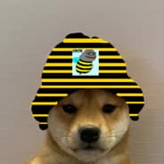 Lil StinGa