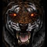 Evil tiger