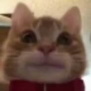 L L L L L