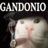 MR. GANDONIO