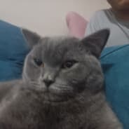 yusufcanogut7