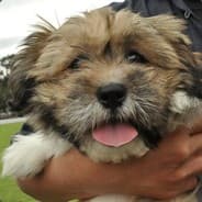 SqwertyE