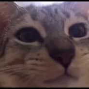 C:\Program Files\Porn