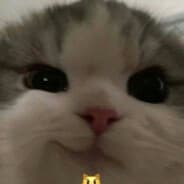 LANAMII