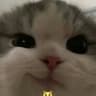 LANAMII