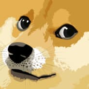 Doge