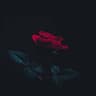 Recoil