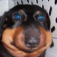 Wacky