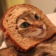 Inbread Cat