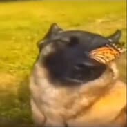 d0x1