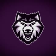 LetsFlyDenWolf