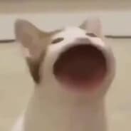 AAAAAA