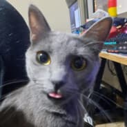 Lil' Devil