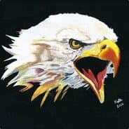 LoneEagle