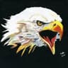 LoneEagle