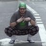 vegaszebra