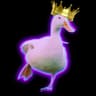 Duck1231234