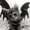 emannuel-